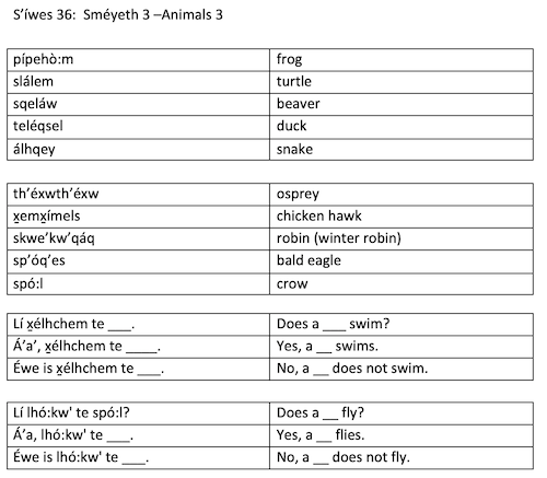 S'íwes 36:  Sméyeth 3 –Animals 3