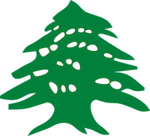 thumbnail for Story: X̲pá:yelhp - Story of the Cedar Tree