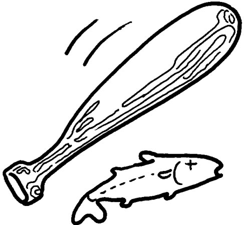 Story of the monster fish