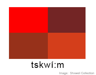 Colours- level 2
